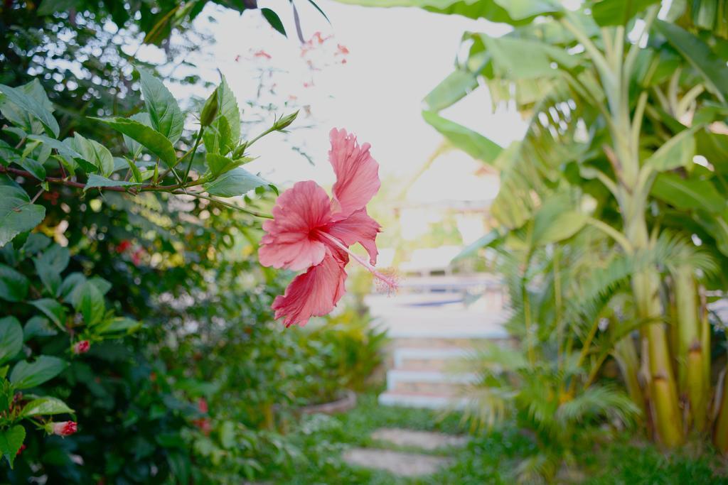 Darica Resort Kep Luaran gambar